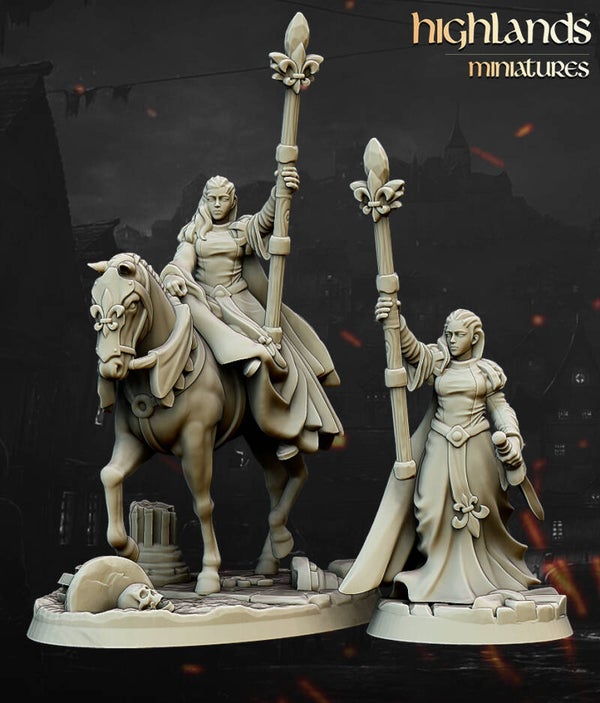 Damsel of the Lady x2