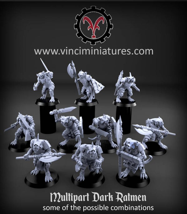 Rats noirs  x20