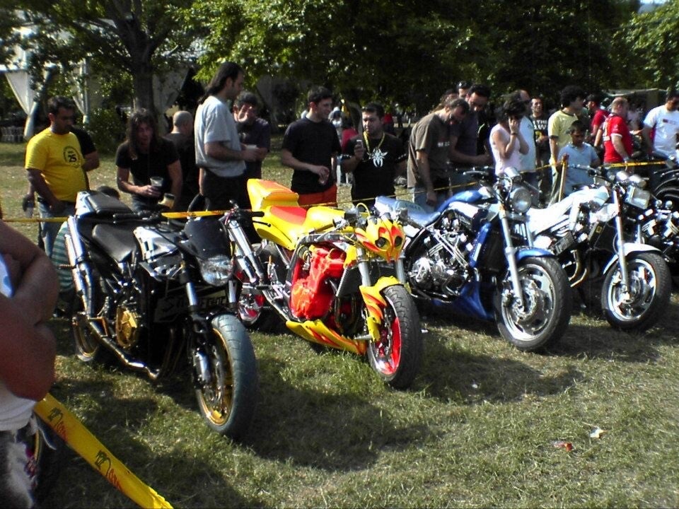 DALTONS RACING TEAM.jpg