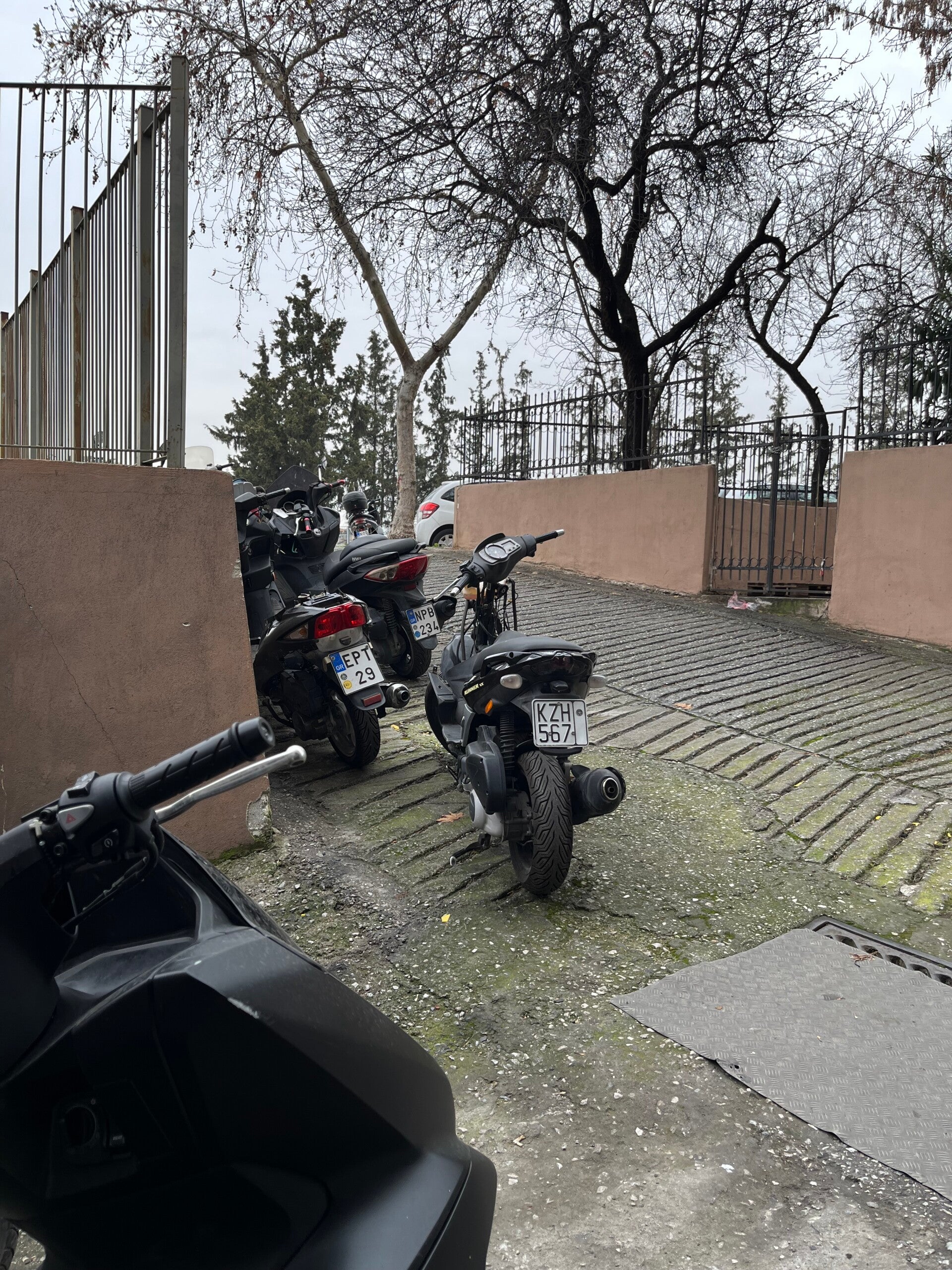 DALTONS RACING TEAM.jpg