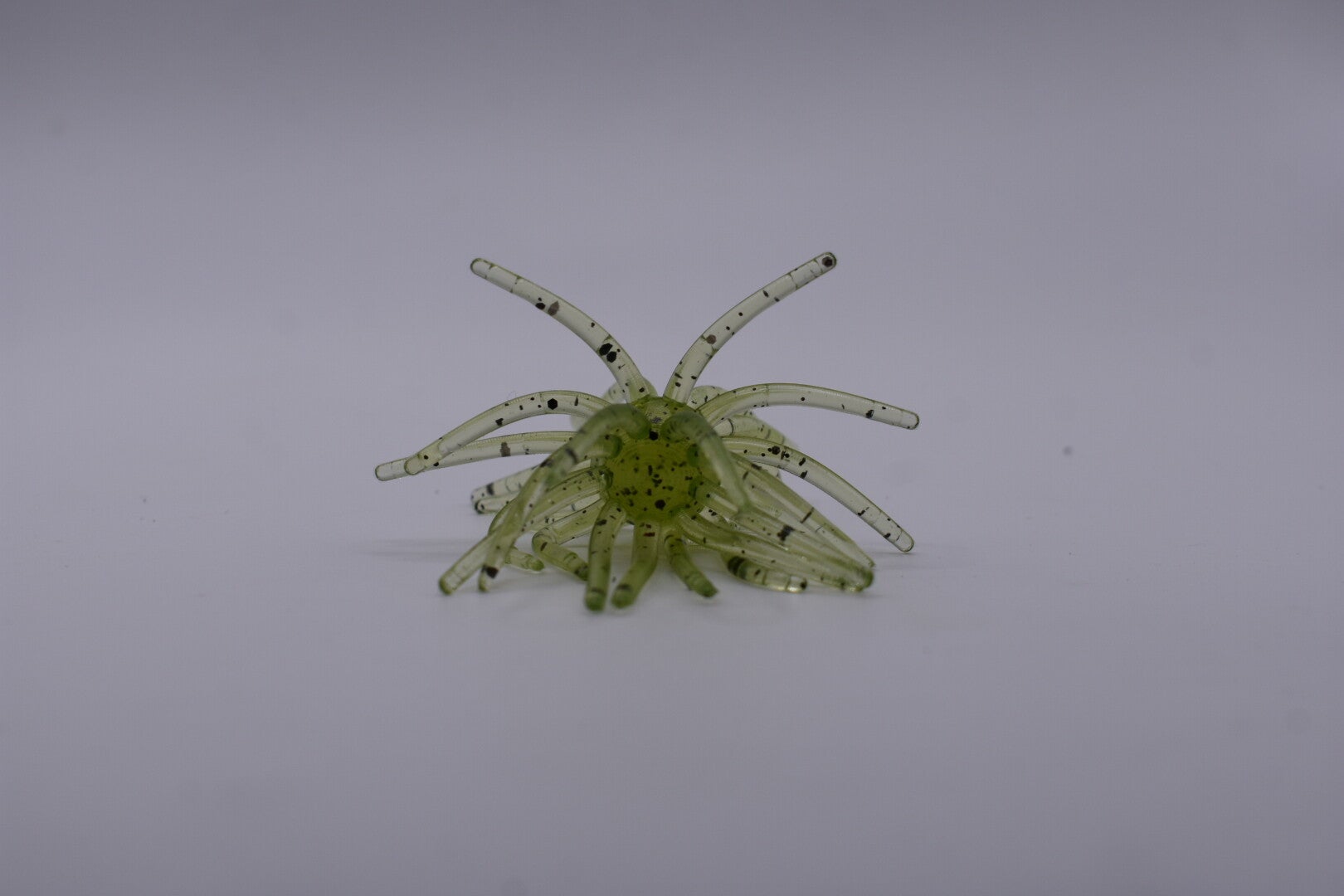 Hydra