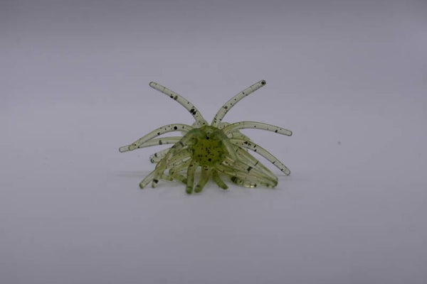 Hydra