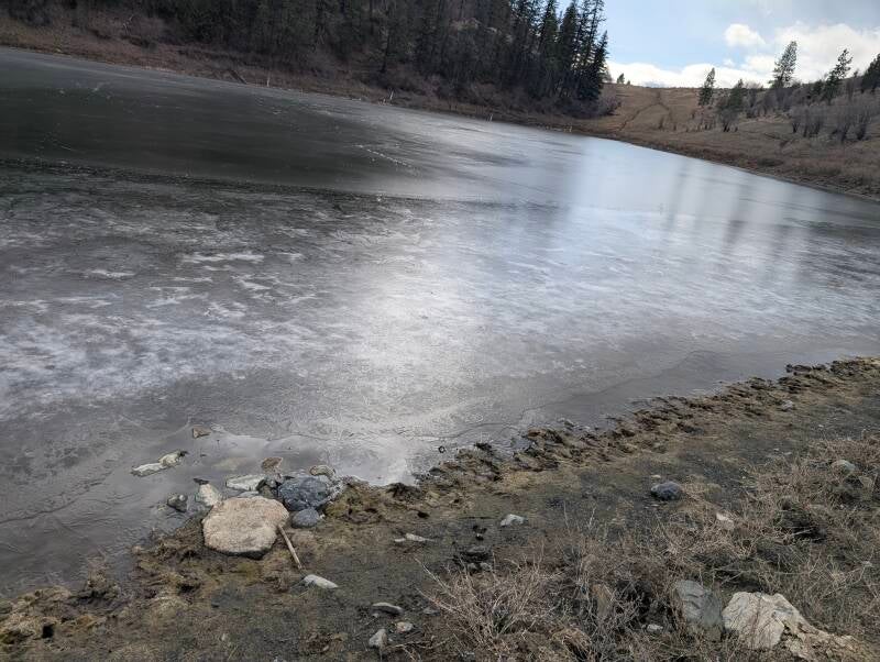 The Deep Lake is alive.