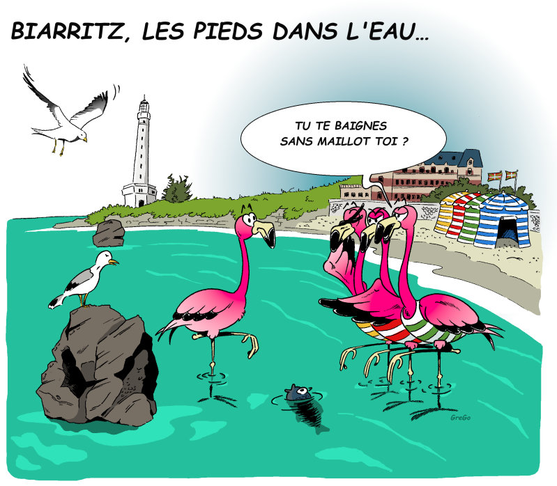 humour-vac-biarritz-standard.png