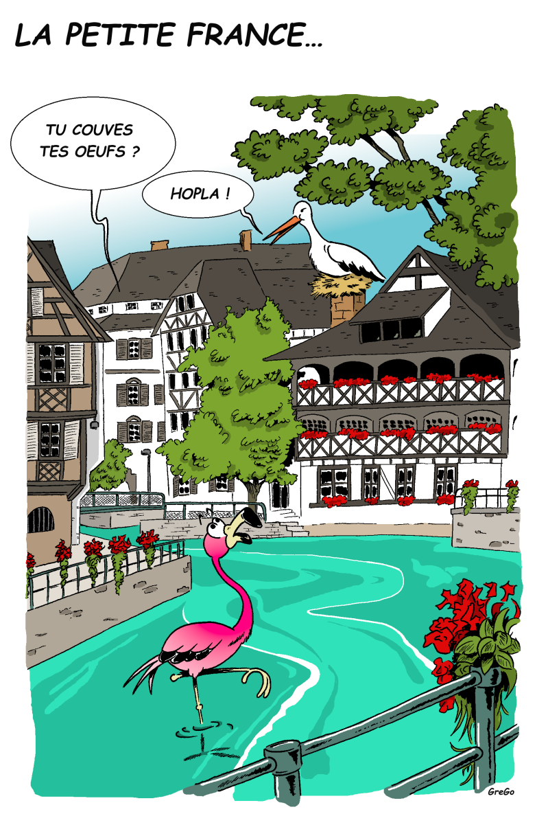 humour-vac-strasbourg-standard.png
