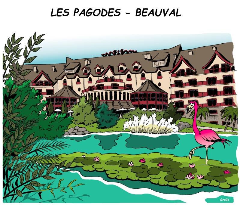 humour-vac-tours-standard.jpg