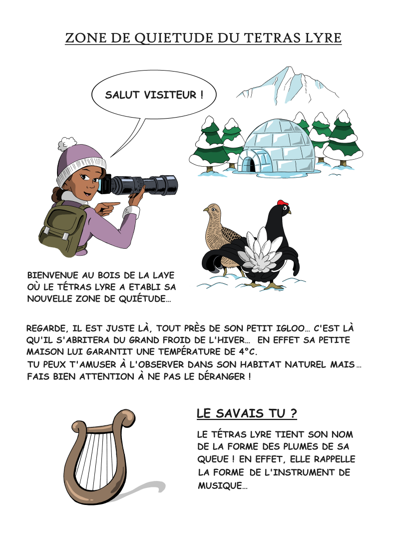 planche-t-tras-lyre-hiver-couleur-standard.png