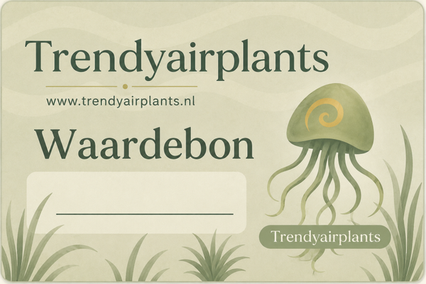 Waardebon