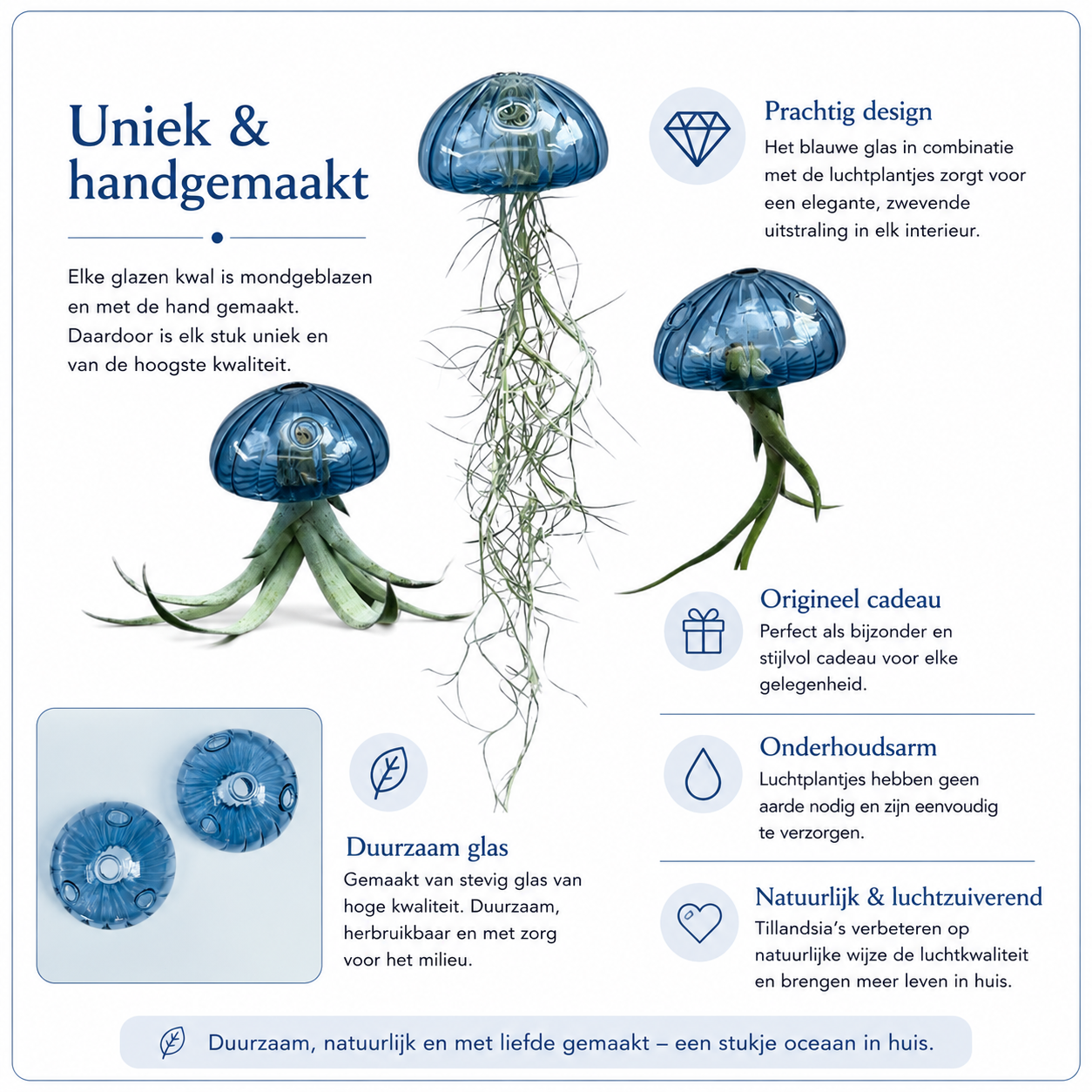 Prachtige Jellyfish luchtplantjes met "zee-egels" van echt glas.
