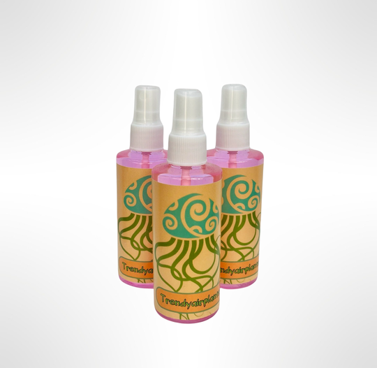 Trendyairplants Airplantspray 100ml.