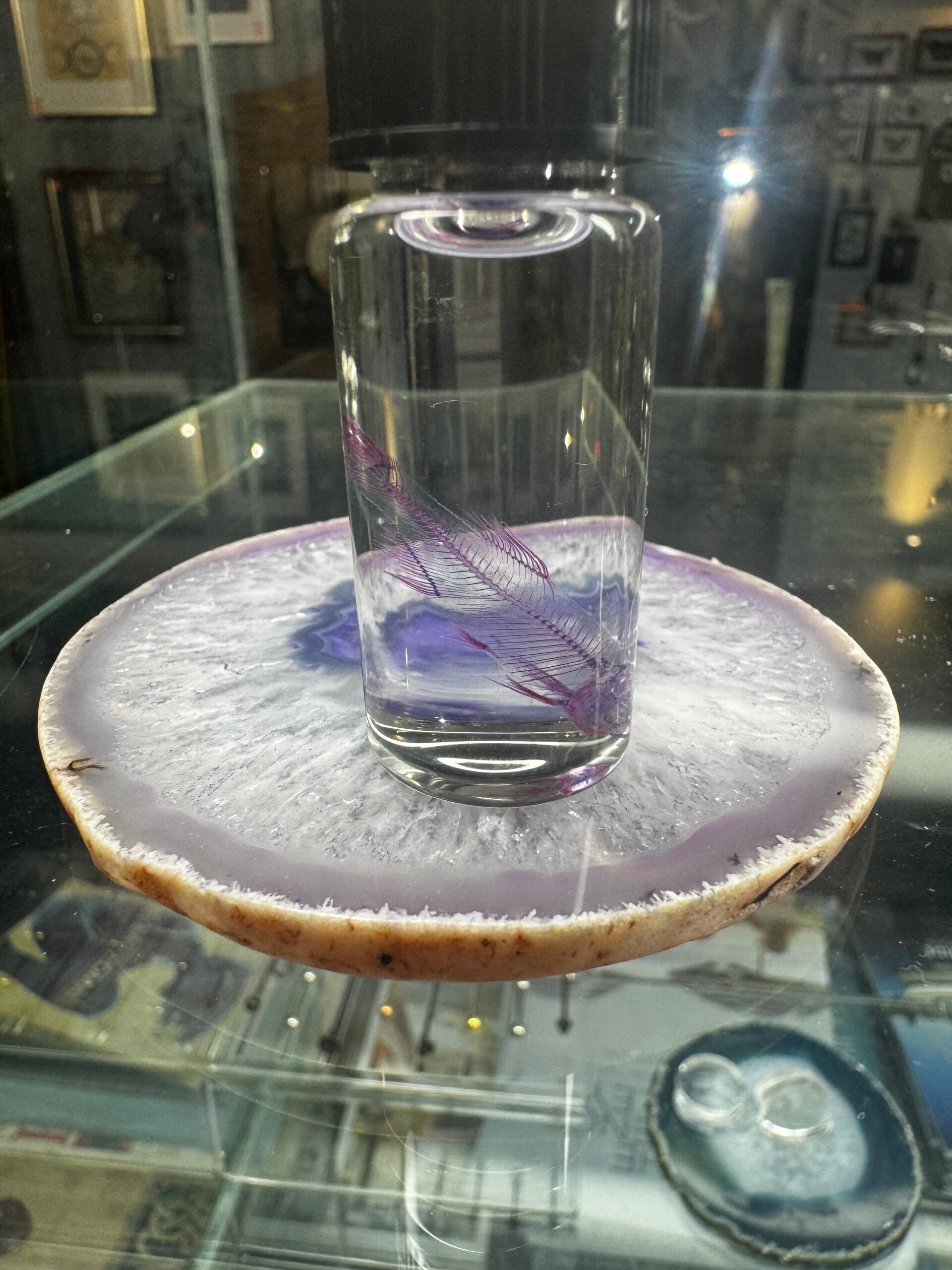 Diaphanized Cori