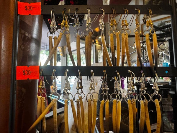 Echidna quil earings $30