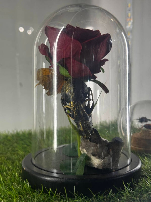 Gothic decore : bat skull , butterfly , graveyard rose and smokey quarts in dome
