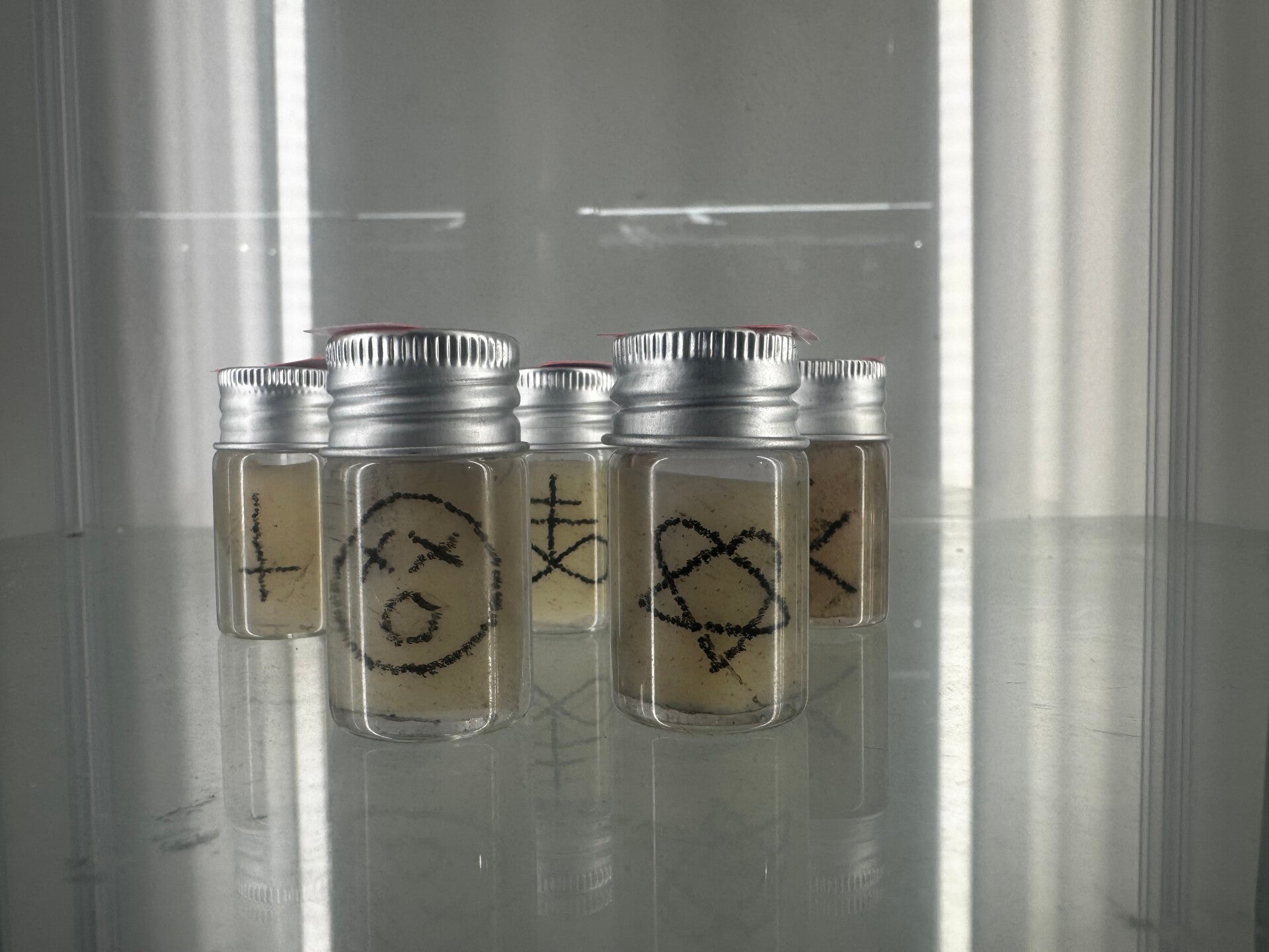 wet specimen - tattooed flesh in a jar