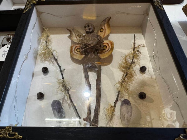 mummified fairy