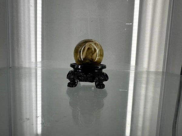 wet specimen - quail in sphere