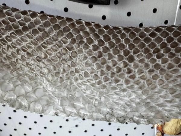 Complete carpet python shed $40