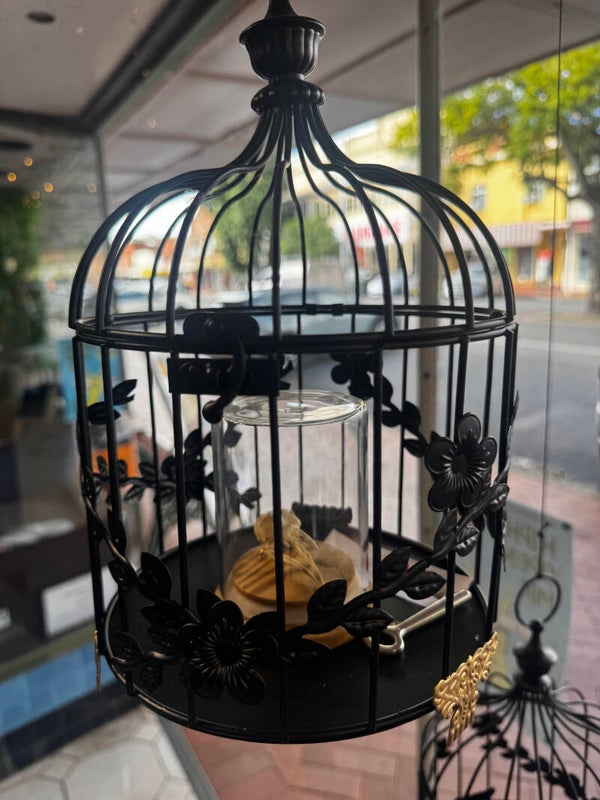 Song bird skull in glass dome in guilded cage $120