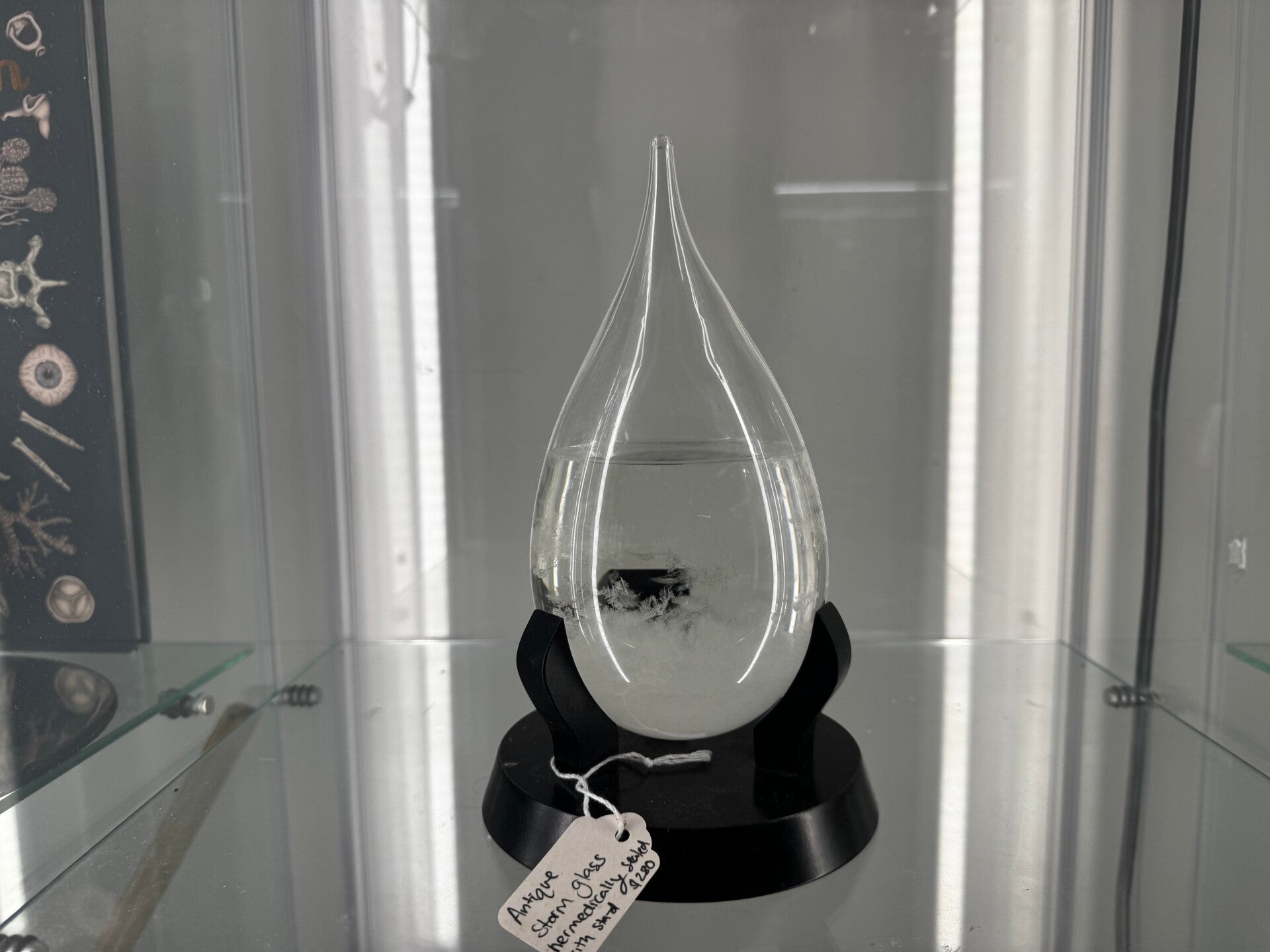 Antique Vintage -Storm glass