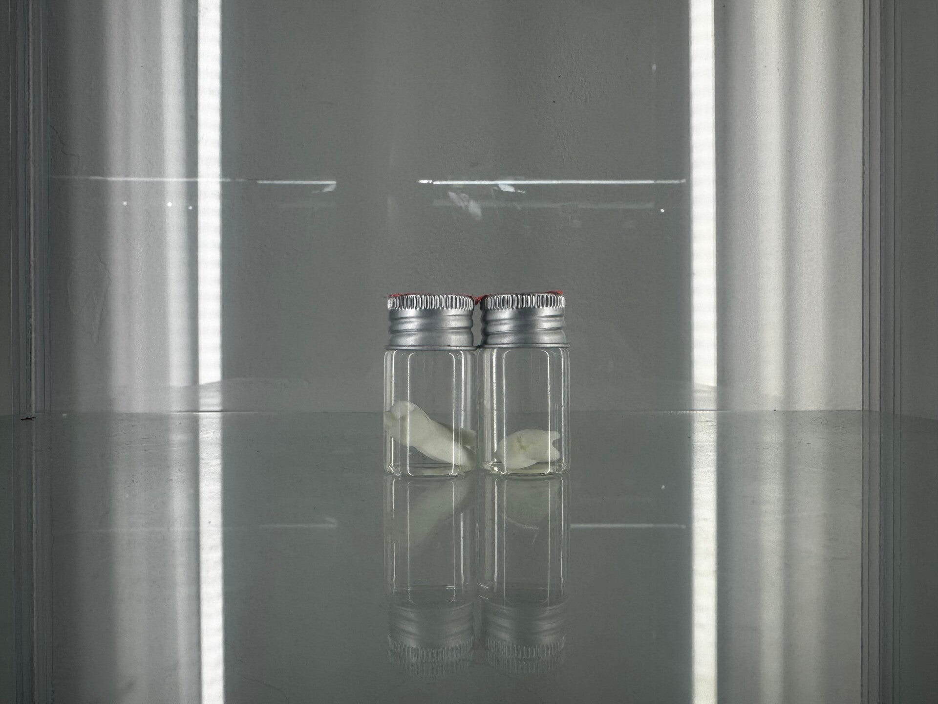 wet specimen - teeth in a jar