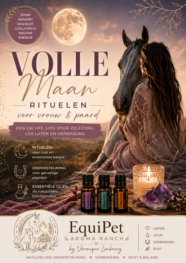 E-book Volle maan