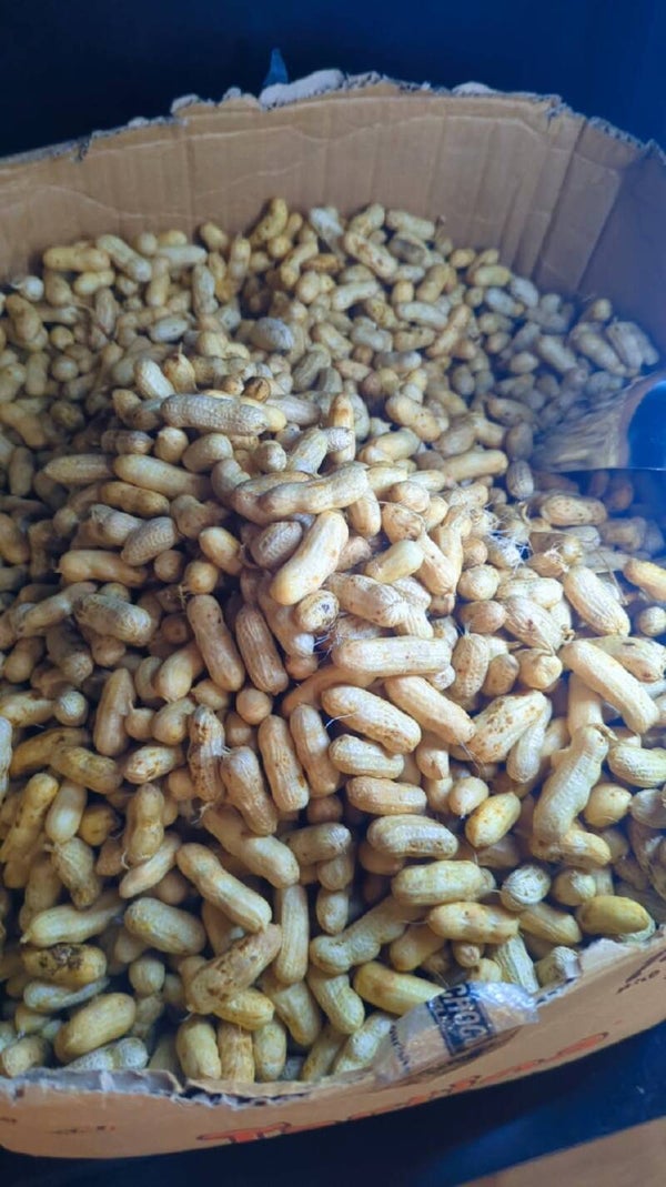 Arachide fraiche 1KG