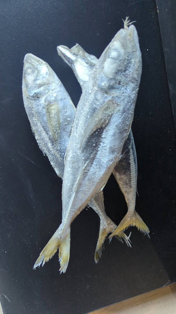 Maquereau oya oya 1 kg