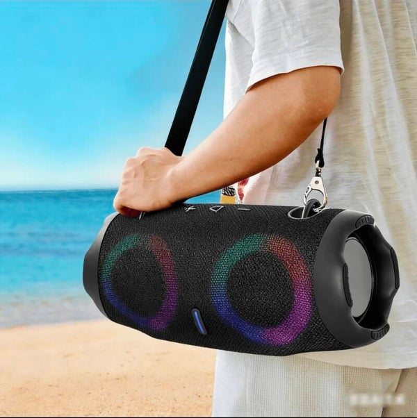 Portable Subwoofer