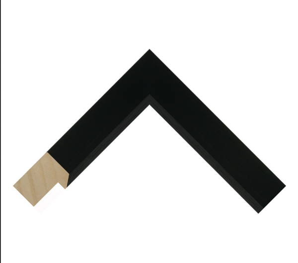 Ravena Reverse beveled Frame 30 x 20 inch