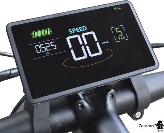 V20 Fatbike H6C Display (met of zonder NFC)