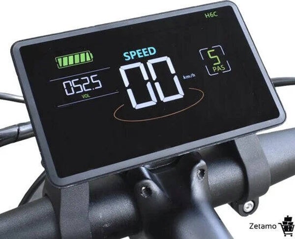 V20 Fatbike H6C Display (met of zonder NFC)