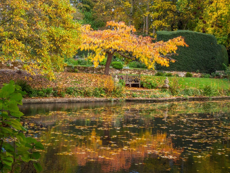 Coton Manor Gardens