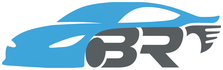 BR PROFESSIONAL DRIVER