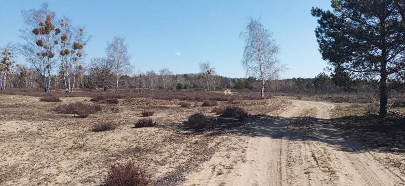 Kleine Schorfheide