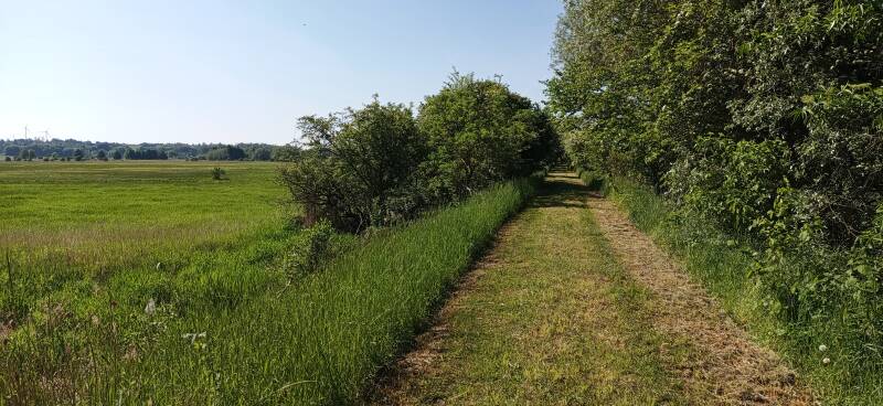 gut gepflegter Wanderweg