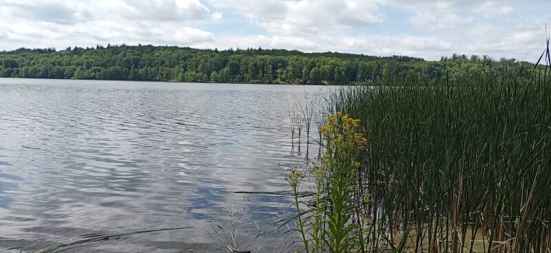 Blick auf den Wolletzsee