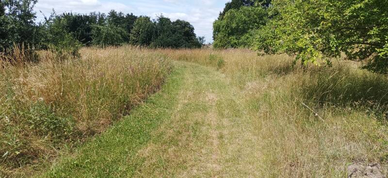 gemähter Wanderweg
