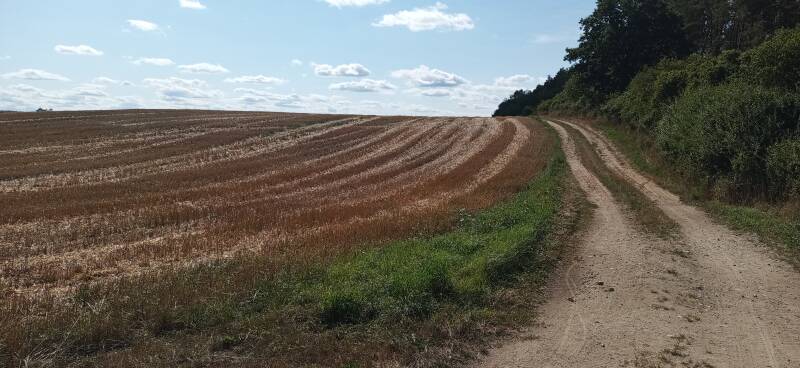 Wanderweg am geernteten Feld
