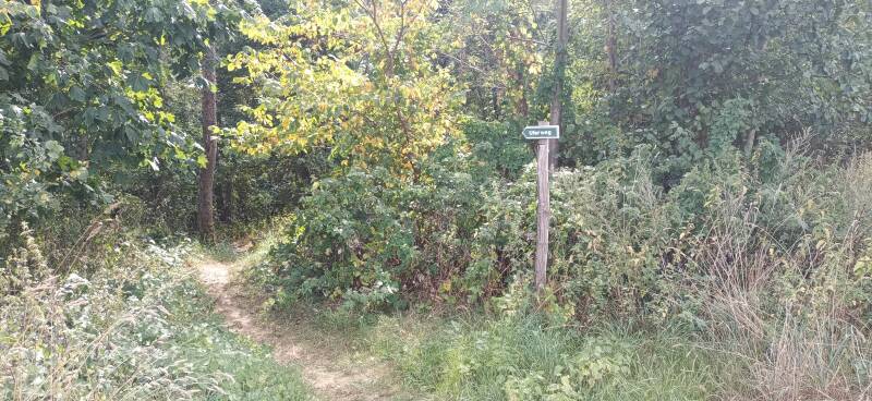 Wegweise zum Waldweg