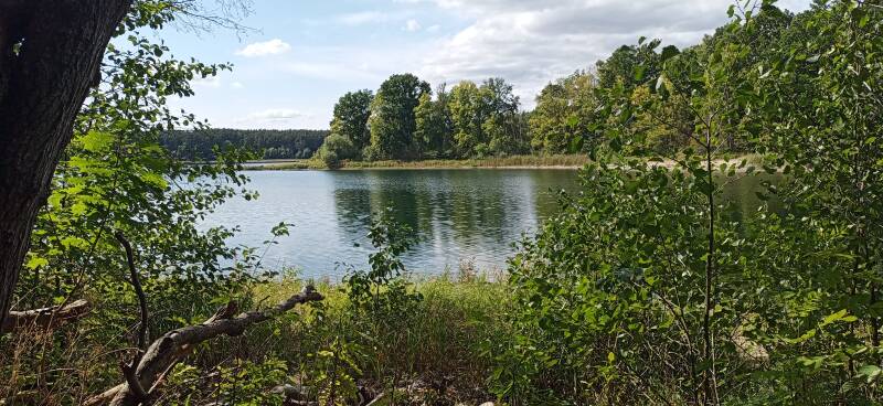 Blick auf den Dreetzsee