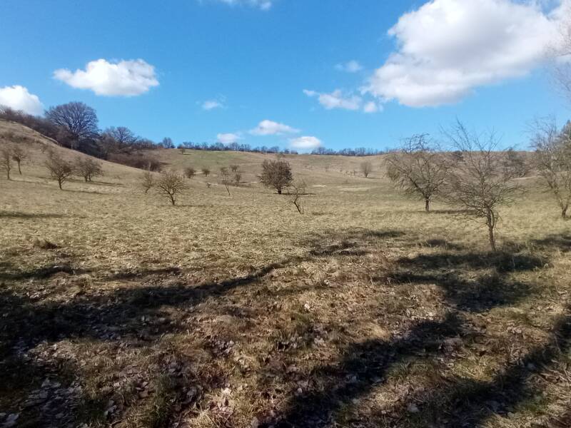 Weitblick im Naturschutzgebiet