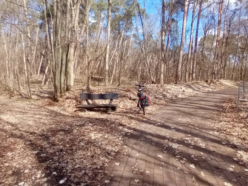 Rastplatz im Wald