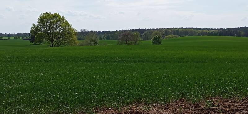 weiter Blick in der Uckermark
