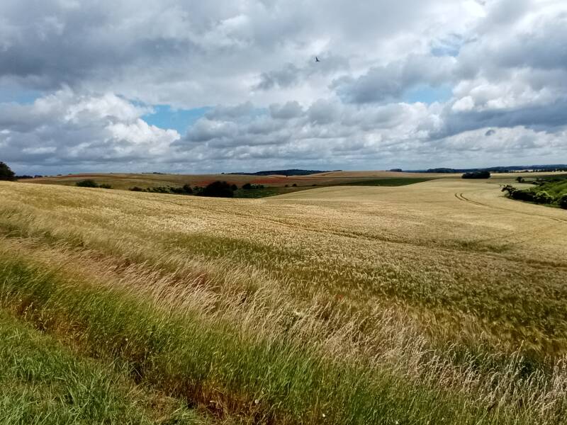 weite Sicht und dunkle Wolken übers Feld