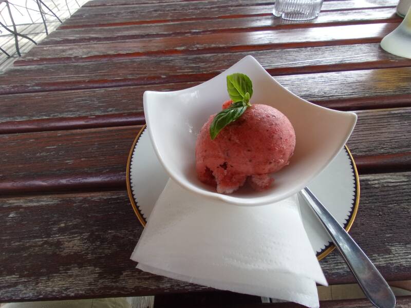 Erdbeer- Basilikum- Sorbet