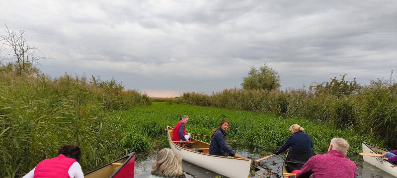 vor dem dicht bewachsenen Kanal