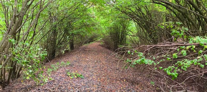 Wanderweg auf Schotter