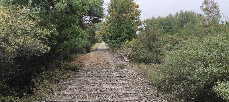 Wanderweg auf Schwellen