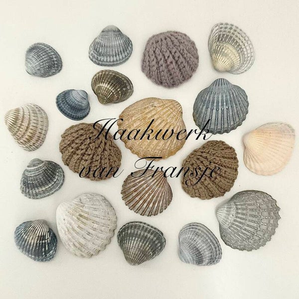Haakpatroon Schelp (Kokkel) (NED)