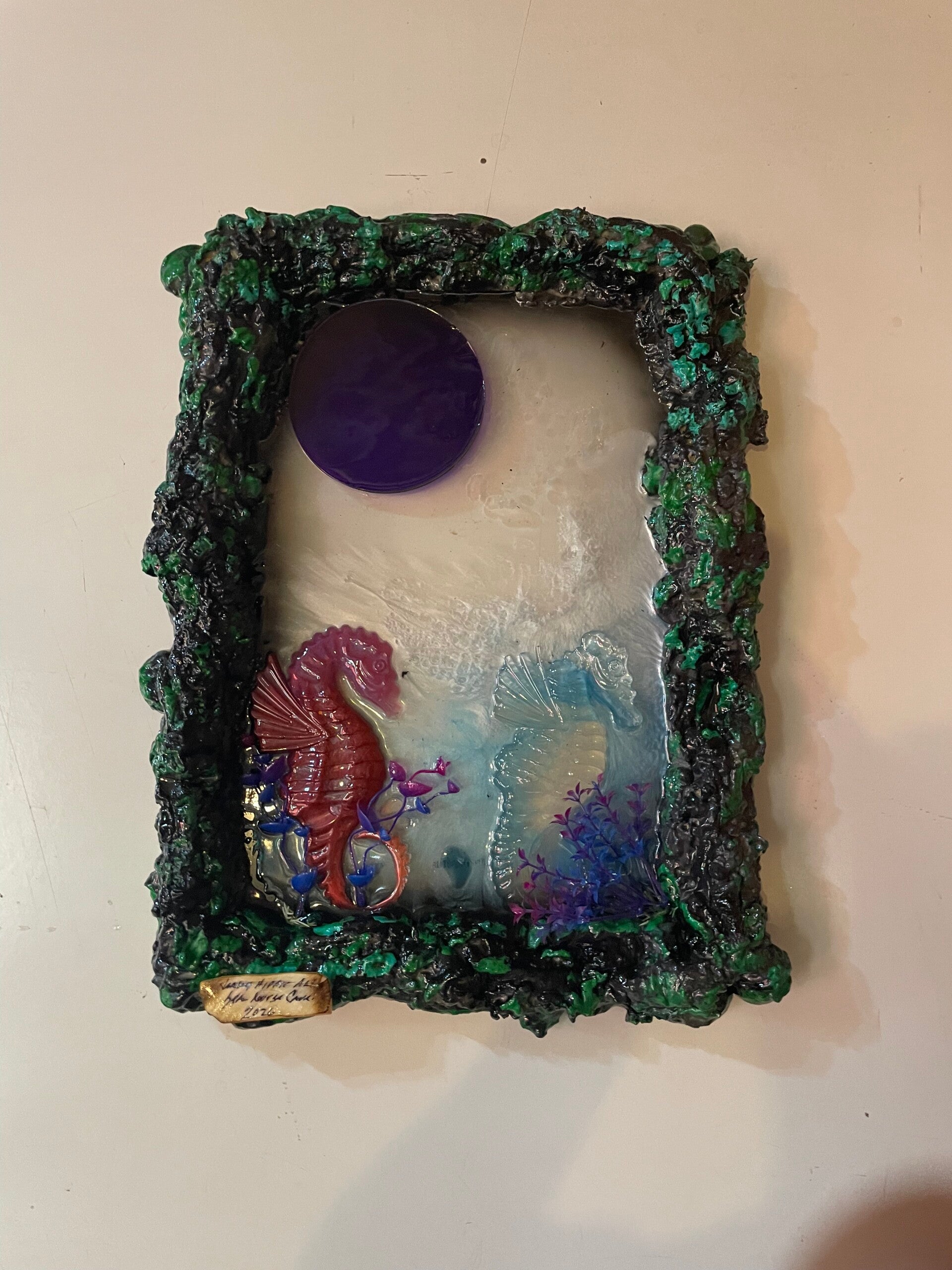A Seahorse's World
